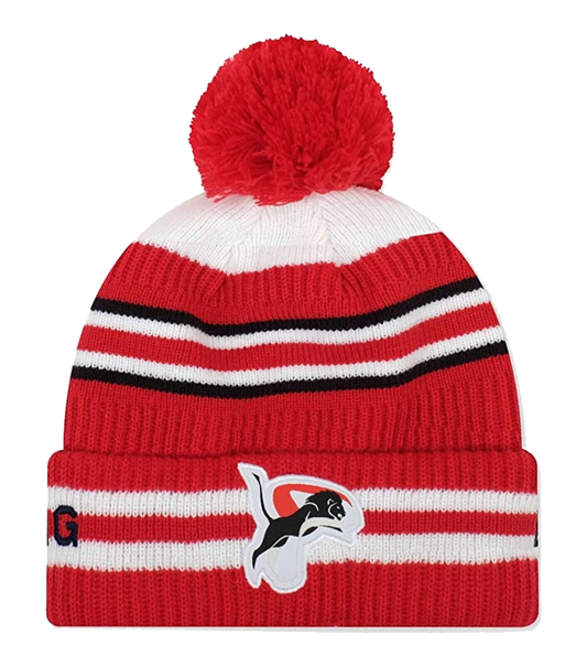 England beanie